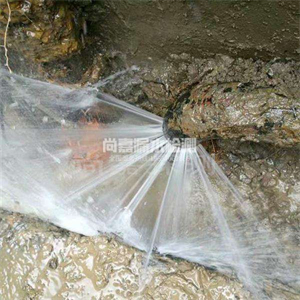黄梅消防管道漏水检测